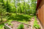 Spacious backyard & herb garden